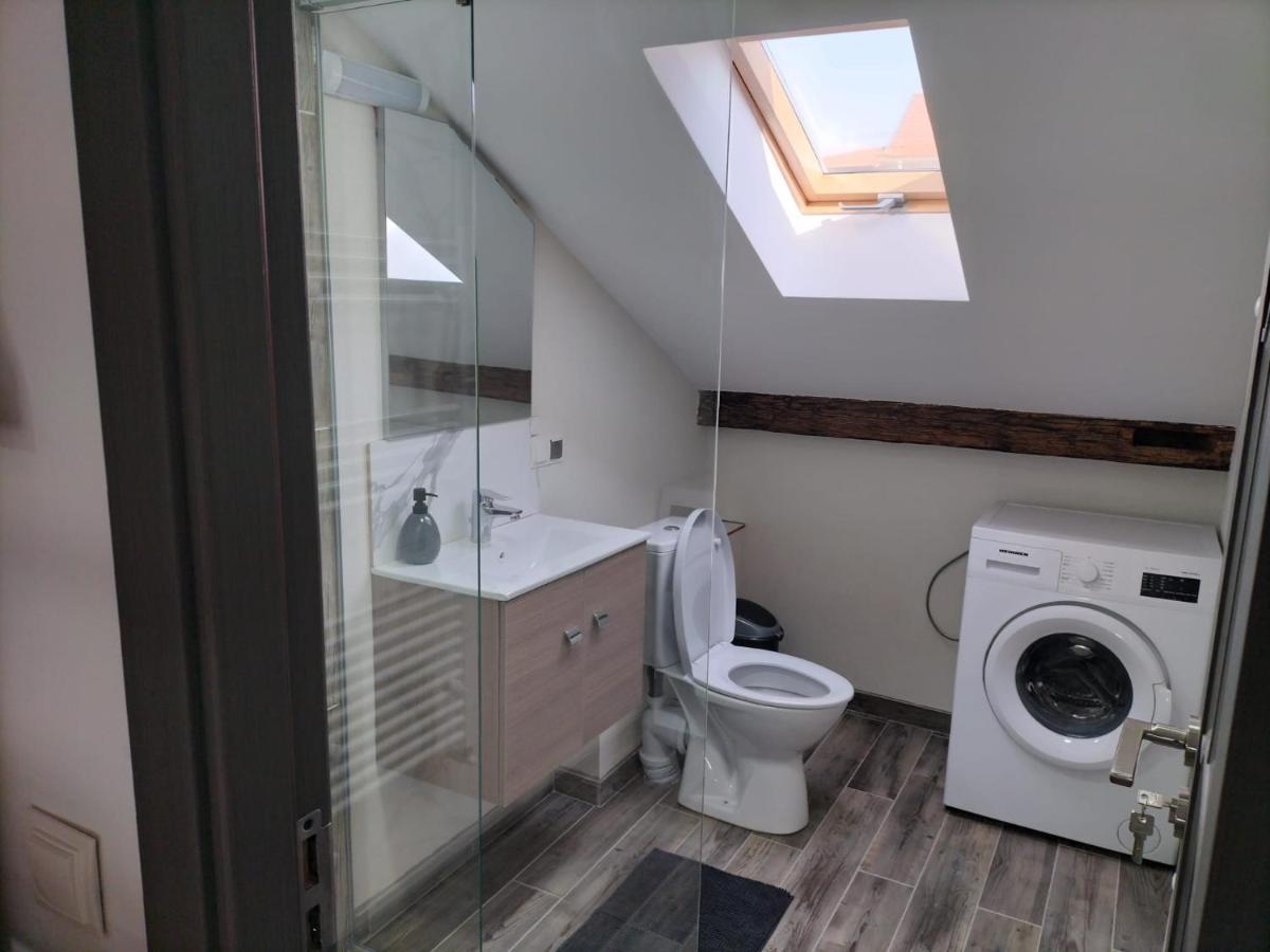Cozy Loft Apartament Sighetu Marmaţiei Esterno foto